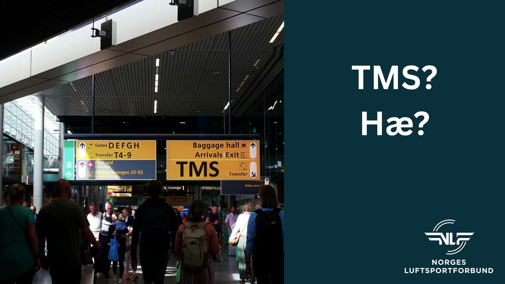 TMS, hva er det?