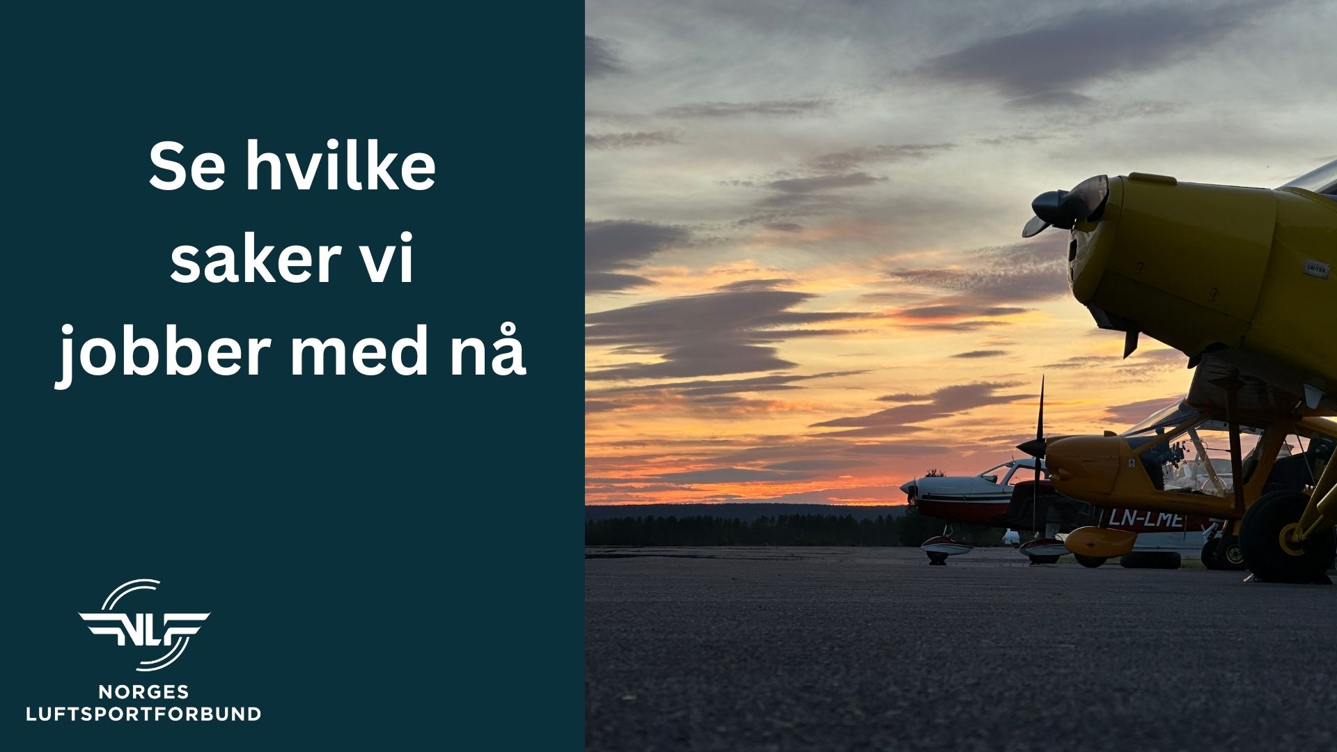 Nysgjerrig på hvilke saker NLF jobber med nå?